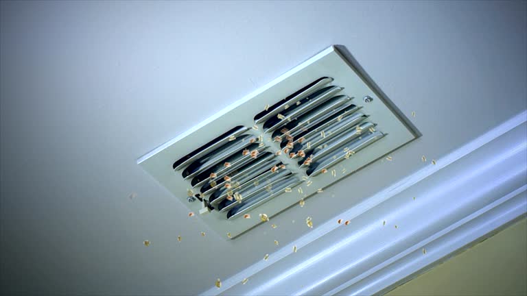 Best Air Duct Cleaning Near Me  in Chesapeake, WV